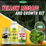 Yellow Mosaic and Growth Kit