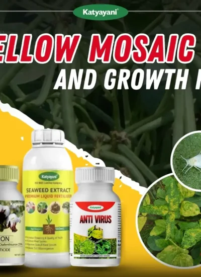 Yellow Mosaic and Growth Kit