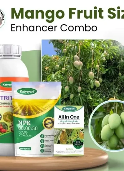 Mango Fruit Size Enhancer Pro Combo