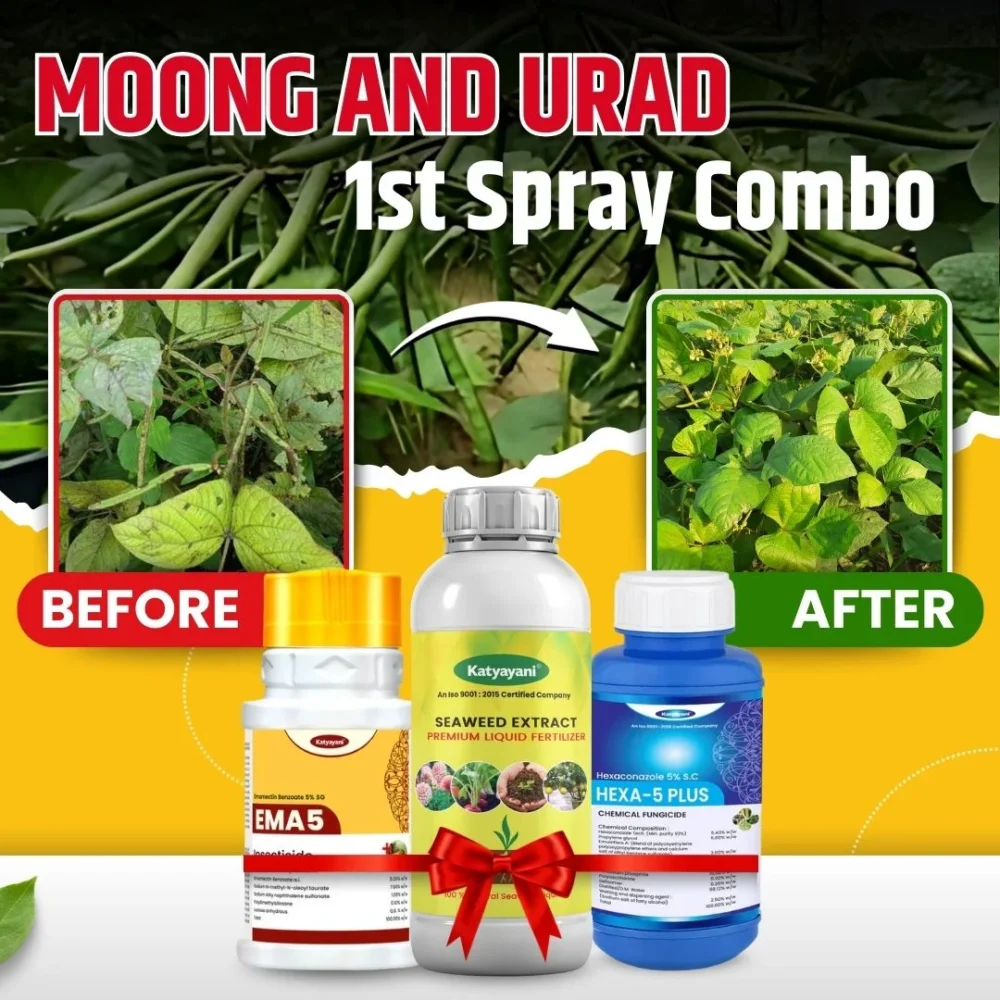 Katyayani Moong and Urad 1st spray Combo