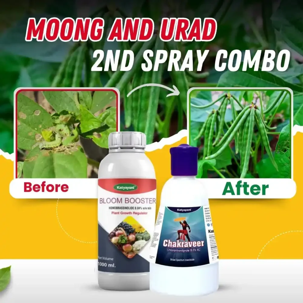 moong and urad 2nd spray combo