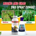 moong and urad 2nd spray combo