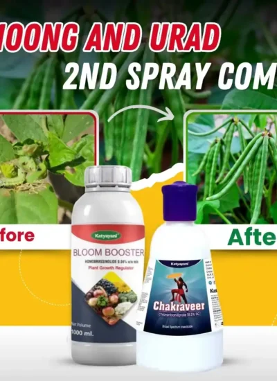 moong and urad 2nd spray combo