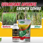 Sugarcane Advance Growth Combo