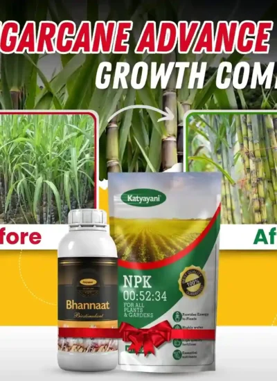 Sugarcane Advance Growth Combo