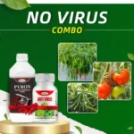 No Virus Combo
