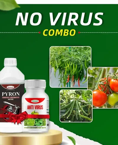 No Virus Combo
