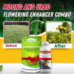 Moong and Urad Flowering Enhancer Combo