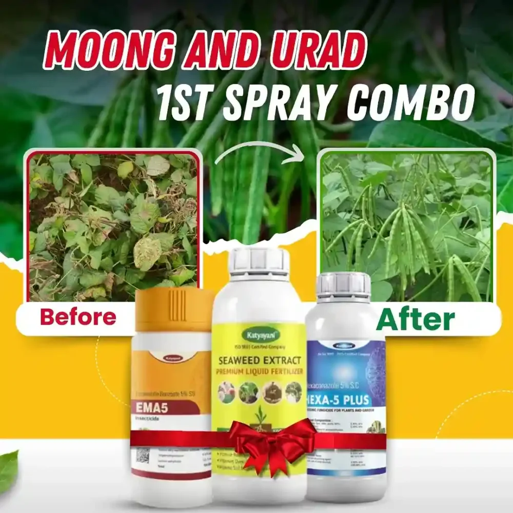 Moong & Urad Early Stage Combo
