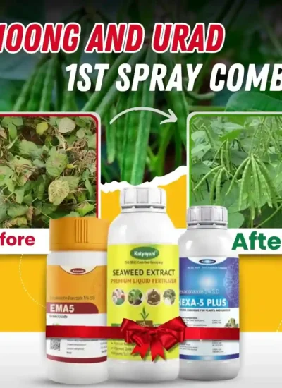 Moong & Urad Early Stage Combo