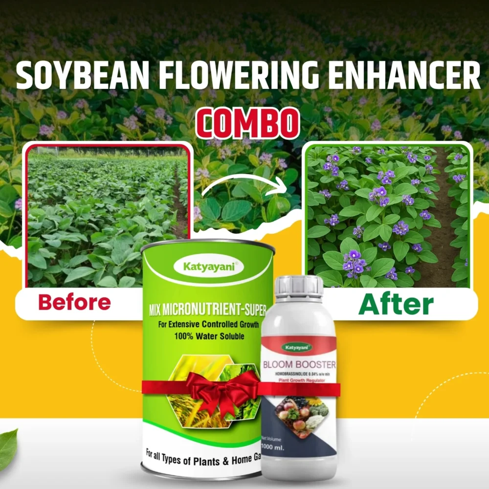 Soybean Flowering Enhancer Combo