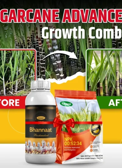 Katyayani Sugarcane Advance Growth Combo