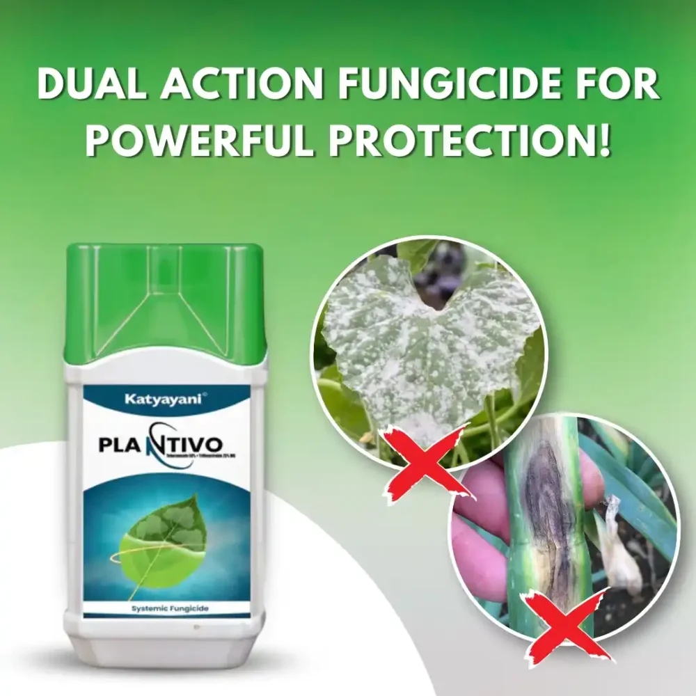 Katyayani Plantivo (Tebuconazole 50% + Trifloxystrobin 25% WG) Fungicide