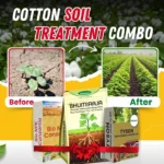 cotton soil treatment combo