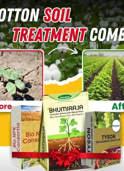 cotton soil treatment combo