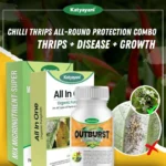 Katyayani Chilli Thrips All-Round Protection Combo (Outburst (17 ML x 2) + All in One 100 GM + Mix Micronutrient 100 GM)