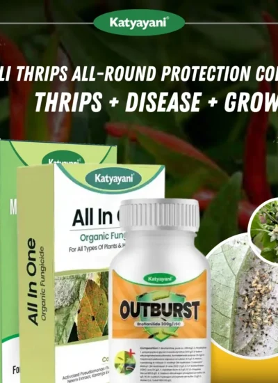 Katyayani Chilli Thrips All-Round Protection Combo (Outburst (17 ML x 2) + All in One 100 GM + Mix Micronutrient 100 GM)