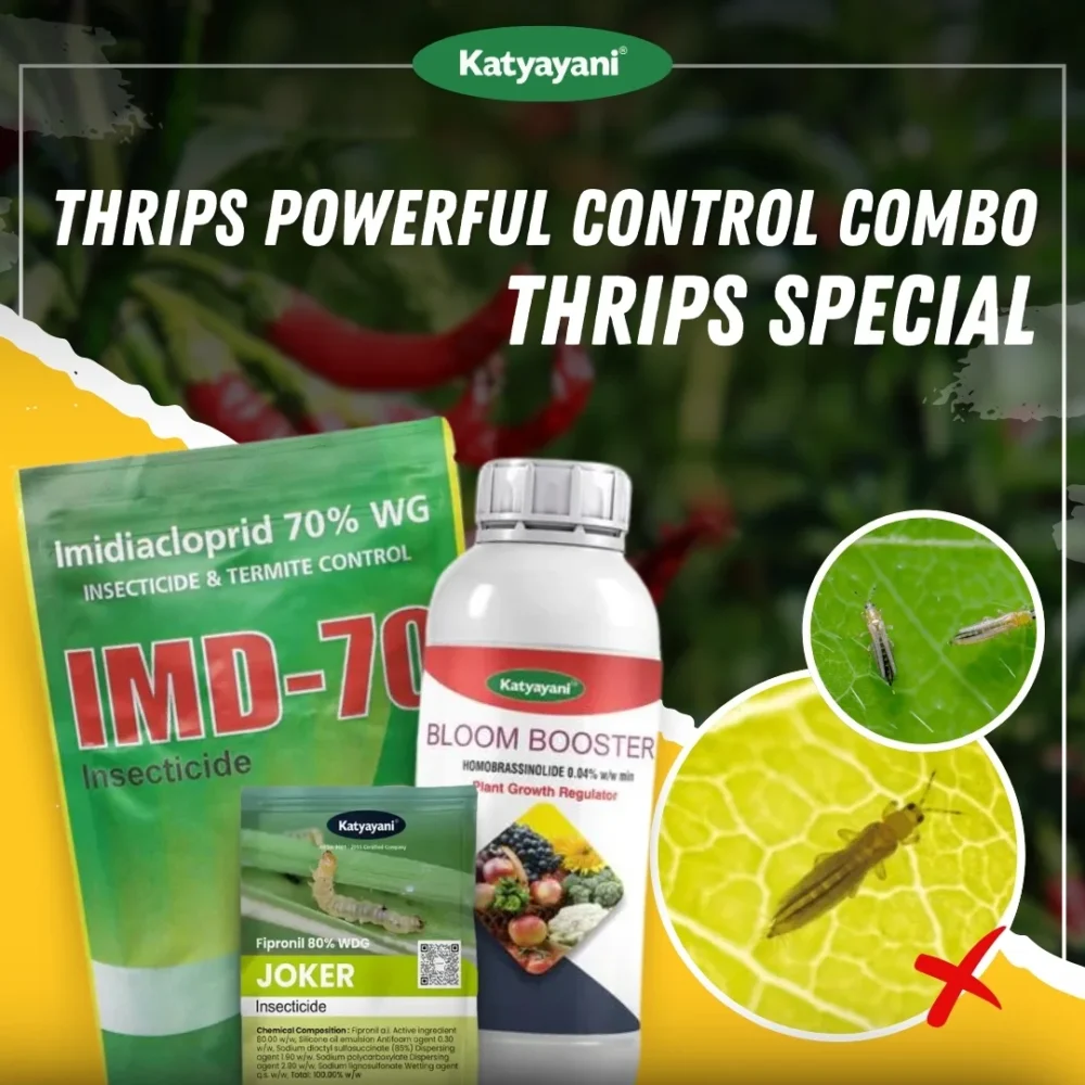 Katyayani Thrips Powerful Control Combo (IMD-70 (30 GM) + Joker 40 GM + Bloom Booster 100 ML)