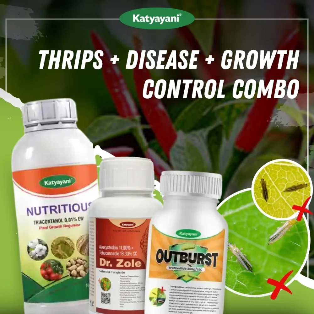 Katyayani Thrips + Disease + Growth Control Combo ( Dr. Zole (50 ML x 5) + Outburst