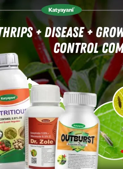 Katyayani Thrips + Disease + Growth Control Combo ( Dr. Zole (50 ML x 5) + Outburst
