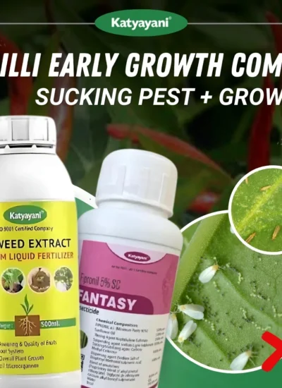 Katyayani Chilli Early Growth Combo (Fantasy Fipronil 5% SC 250 ML + Seaweed Extract 250 ML)