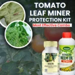 Katyayani Leaf miner protection kit (KACIN (100 ML x 2) + Neem OIL (400 ML X 1)