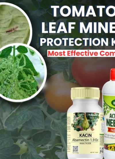 Katyayani Leaf miner protection kit (KACIN (100 ML x 2) + Neem OIL (400 ML X 1)