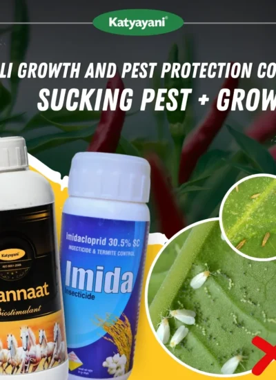 Katyayani Chilli Growth and Pest Protection Combo (Imida 100 ML + Bhannat 250 ML)