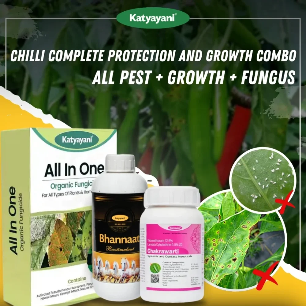 Katyayani Chilli Complete Protection and Growth Combo (Chakrawarti 100 ML + Bhannat 250 ML + All in One 100 GM)