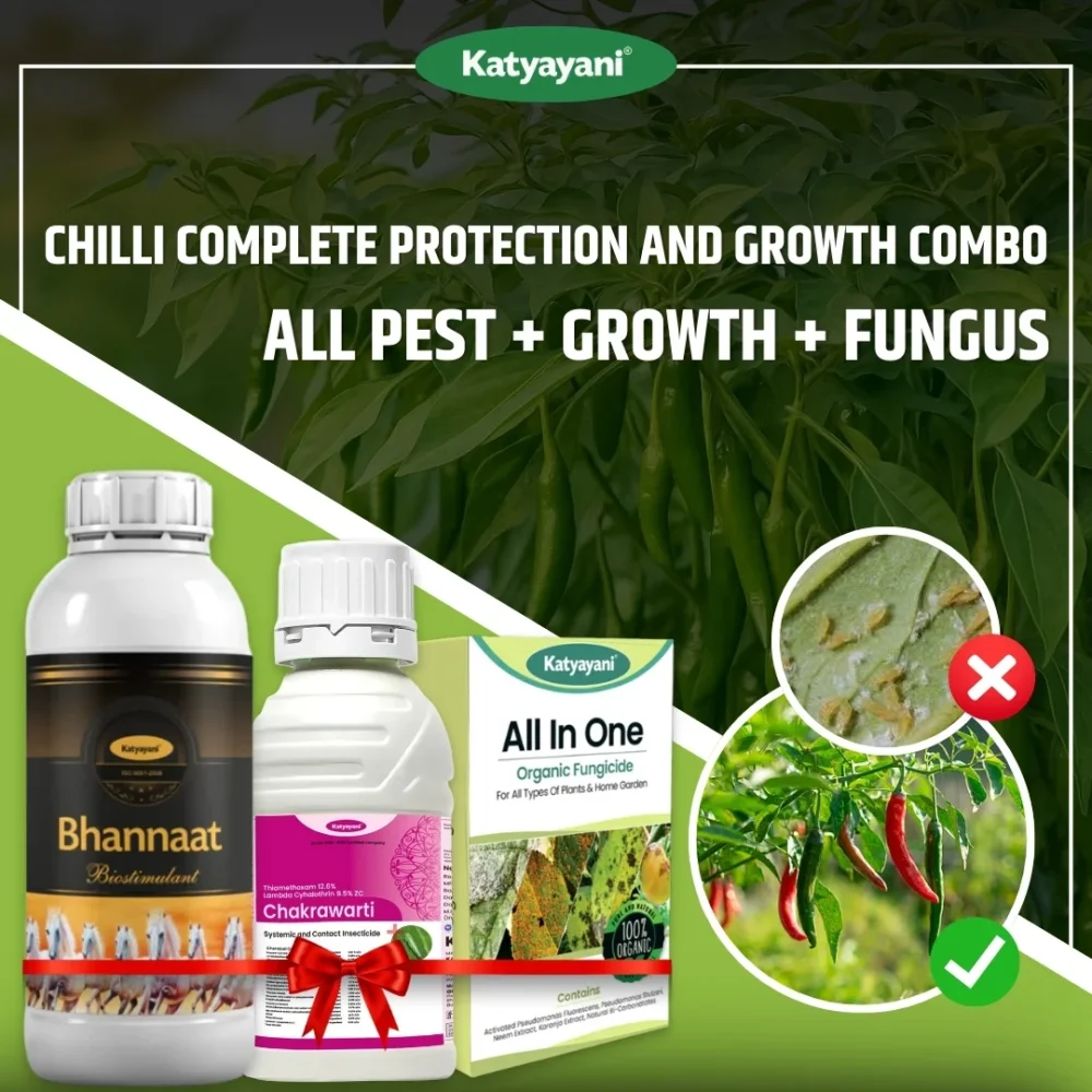 Katyayani Chilli Complete Protection and Growth Combo (Chakrawarti 100 ML + Bhannat 250 ML + All in One 100 GM)