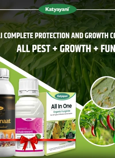 Katyayani Chilli Complete Protection and Growth Combo (Chakrawarti 100 ML + Bhannat 250 ML + All in One 100 GM)