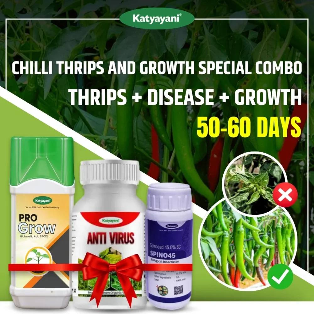 Chilli Thrips and Growth Special Combo | 50-60 Days