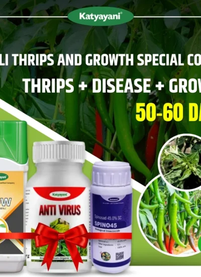 Chilli Thrips and Growth Special Combo | 50-60 Days