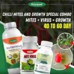 Katyayani Chilli Mites and Growth Special Combo (Ozil 250 ML + Anti Virus (250 ML x 2) + Nutritious 250 ML)