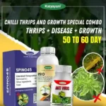 Katyayani Chilli Thrips and Growth Special Combo (Spino 45 (50 ML) + Anti Virus (250 ML x 2) + Pro Grow 250 ML)