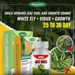 Katyayani Chilli Upward Leaf Curl and Growth Combo (Ashwamedh Plus 250 GM + Antivirus (250 ML x 2) + Mix Micronutrient 100 GM)