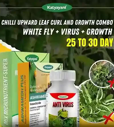 Katyayani Chilli Upward Leaf Curl and Growth Combo (Ashwamedh Plus 250 GM + Antivirus (250 ML x 2) + Mix Micronutrient 100 GM)