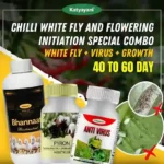 Katyayani Chilli White Fly and Flowering Initiation Special Combo | 40-60 Days (Pyron (250 ML x 2) + Anti Virus (250 ML x 2) + Bhannat 250 ML)