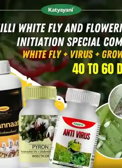 Katyayani Chilli White Fly and Flowering Initiation Special Combo | 40-60 Days (Pyron (250 ML x 2) + Anti Virus (250 ML x 2) + Bhannat 250 ML)