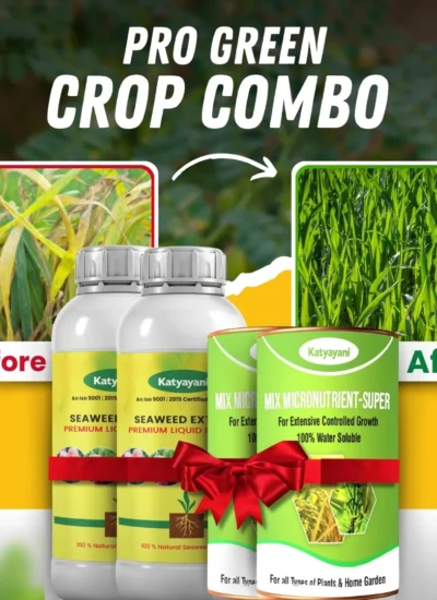 Katyayani Pro Green Crop Combo for Yellowing Leaves and Healthy Green Crops (Seaweed Extract Liquid 250 ml x 2)+ Mix Micronutrient (100 gm x 2)