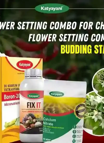 Katyayani Flower Setting Combo for Chilli | Budding Stage (Fix It 250 ML + Boron 20% EDTA 400 GM + Calcium Nitrate 470 GM)
