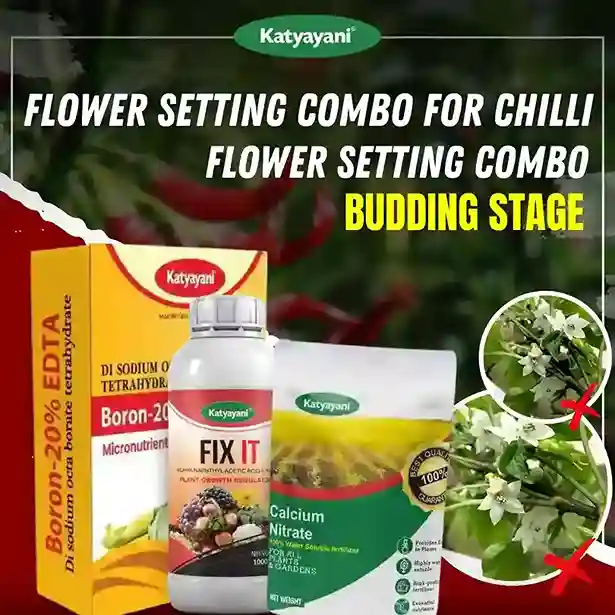 Katyayani Flower Setting Combo for Chilli | Budding Stage (Fix It 250 ML + Boron 20% EDTA 400 GM + Calcium Nitrate 470 GM)