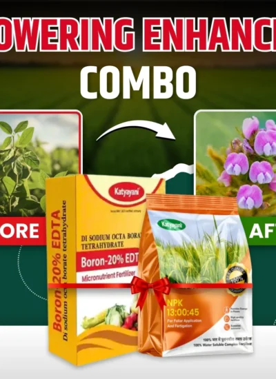 Katyayani Flowering Enhancer Combo | Boron 20% EDTA (200 GM) and NPK 13 00 45 Fertilizer (1 KG)