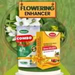 Katyayani Flowering Enhancer Combo (Boron 20% EDTA (200 GM) + NPK 13 00 45 Fertilizer (1 KG)