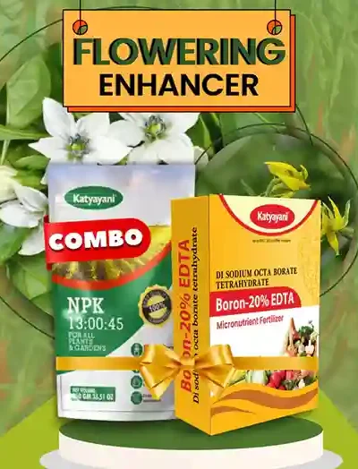Katyayani Flowering Enhancer Combo (Boron 20% EDTA (200 GM) + NPK 13 00 45 Fertilizer (1 KG)
