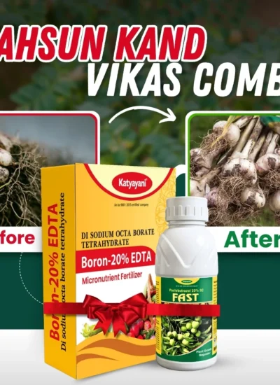 Katyayani Garlic – Lahsun Kand Vikas Combo (Fast 100 ML + Boron 20% EDTA 500 GM)