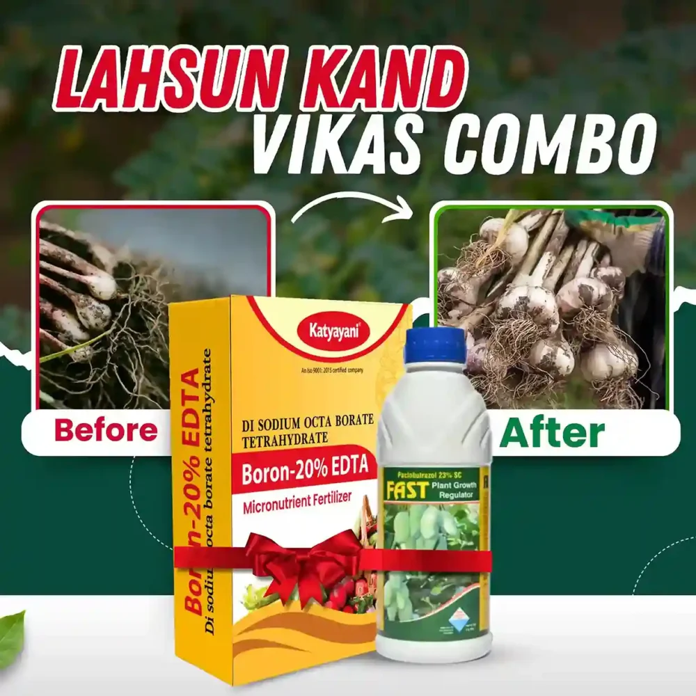 Katyayani Garlic – Lahsun Kand Vikas Combo (Fast 100 ML + Boron 20% EDTA 400 GM)