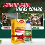 Katyayani Garlic – Lahsun Kand Vikas Combo (Fast 100 ML + Boron 20% EDTA 400 GM)