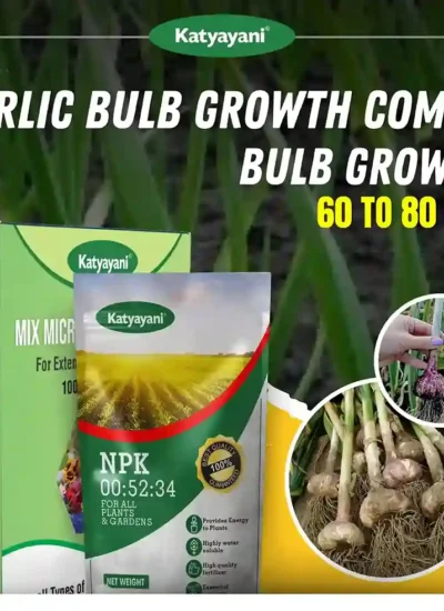 Katyayani Garlic Bulb Growth Combo (60–80 Days) (NPK 00:52:34 (1 KG) + Mix Micronutrient (100 GM)