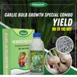 Katyayani Garlic Bulb Special Combo (90–110 Days)